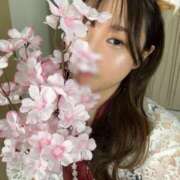 ヒメ日記 2025/04/14 13:27 投稿 ありさ 三つ乱本館