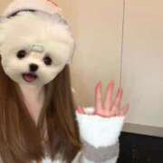 ヒメ日記 2025/12/17 19:11 投稿 ありさ 三つ乱本館