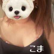 ヒメ日記 2025/03/19 13:24 投稿 こま 即アポ奥さん ～津・松阪店～