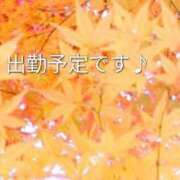 ヒメ日記 2024/11/10 12:35 投稿 あやめ 脱がされたい人妻　久喜・古河店