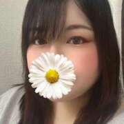 ヒメ日記 2025/11/14 13:27 投稿 かえで ちゃんこ東大阪 布施・長田店