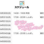 ヒメ日記 2025/03/30 12:00 投稿 こさめ 世界のあんぷり亭 錦糸町店