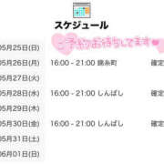 ヒメ日記 2025/05/25 21:00 投稿 こさめ 世界のあんぷり亭 錦糸町店