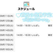 ヒメ日記 2025/09/11 21:00 投稿 こさめ 世界のあんぷり亭 錦糸町店