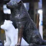 ヒメ日記 2025/02/08 16:37 投稿 小柴 熟女の風俗最終章 横浜本店