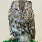 ヒメ日記 2025/04/22 17:34 投稿 小柴 熟女の風俗最終章 横浜本店