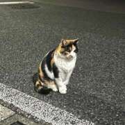 ヒメ日記 2025/05/17 17:55 投稿 小柴 熟女の風俗最終章 横浜本店