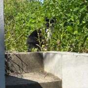 ヒメ日記 2025/05/29 16:14 投稿 小柴 熟女の風俗最終章 横浜本店