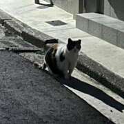 ヒメ日記 2025/07/26 18:57 投稿 小柴 熟女の風俗最終章 横浜本店