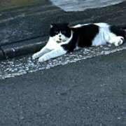 ヒメ日記 2025/08/19 02:04 投稿 小柴 熟女の風俗最終章 横浜本店