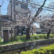 ヒメ日記 2026/04/11 10:47 投稿 御幸 まお Canx2京都店