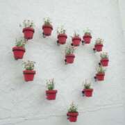 ヒメ日記 2025/03/28 23:33 投稿 すい 横浜・関内サンキュー