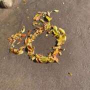 ヒメ日記 2025/11/01 20:42 投稿 すい 横浜・関内サンキュー