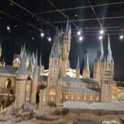 ヒメ日記 2025/11/16 16:12 投稿 すい 横浜・関内サンキュー