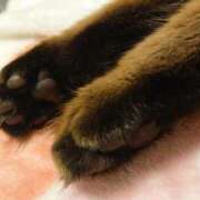 ヒメ日記 2025/11/17 21:32 投稿 すい 横浜・関内サンキュー