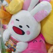 ヒメ日記 2025/12/12 18:02 投稿 すい 横浜・関内サンキュー