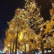 すい 年内最後〜 横浜・関内サンキュー