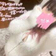 ヒメ日記 2025/03/11 12:42 投稿 りんね 横浜・関内サンキュー