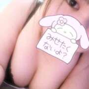 ヒメ日記 2026/01/26 19:32 投稿 りんね 横浜・関内サンキュー