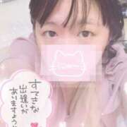 ヒメ日記 2025/08/16 19:02 投稿 かりん 横浜・関内サンキュー