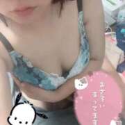 かりん まだまだ.../// 横浜・関内サンキュー