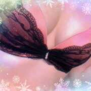 ヒメ日記 2025/01/17 13:18 投稿 ミニバラ GooGoo ～グーグー～