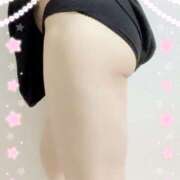 ヒメ日記 2025/02/24 17:21 投稿 ミニバラ GooGoo ～グーグー～