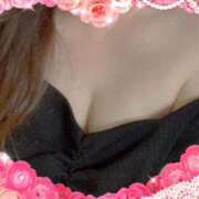 ヒメ日記 2025/03/13 12:33 投稿 ミニバラ GooGoo ～グーグー～