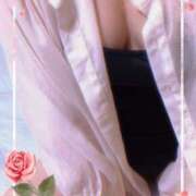 ヒメ日記 2025/03/20 12:06 投稿 ミニバラ GooGoo ～グーグー～