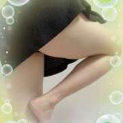 ヒメ日記 2025/04/03 23:38 投稿 ミニバラ GooGoo ～グーグー～