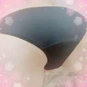 ヒメ日記 2025/04/04 17:31 投稿 ミニバラ GooGoo ～グーグー～