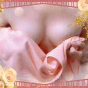 ヒメ日記 2025/04/14 10:40 投稿 ミニバラ GooGoo ～グーグー～