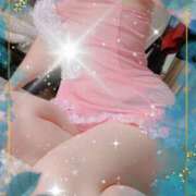 ヒメ日記 2025/04/26 23:14 投稿 ミニバラ GooGoo ～グーグー～