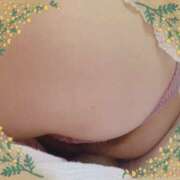 ヒメ日記 2025/05/06 14:36 投稿 ミニバラ GooGoo ～グーグー～