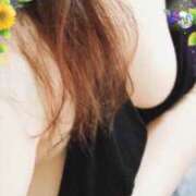 ヒメ日記 2025/05/09 00:24 投稿 ミニバラ GooGoo ～グーグー～