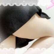 ヒメ日記 2025/12/05 16:07 投稿 ミニバラ GooGoo ～グーグー～