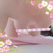 ヒメ日記 2026/01/03 17:15 投稿 ミニバラ GooGoo ～グーグー～