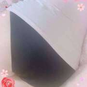 ヒメ日記 2026/01/30 18:13 投稿 ミニバラ GooGoo ～グーグー～