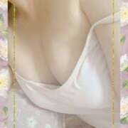 ヒメ日記 2026/02/01 16:50 投稿 ミニバラ GooGoo ～グーグー～