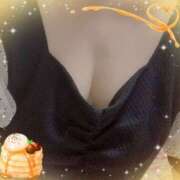 ヒメ日記 2026/02/06 18:47 投稿 ミニバラ GooGoo ～グーグー～