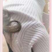 ヒメ日記 2026/02/09 17:08 投稿 ミニバラ GooGoo ～グーグー～