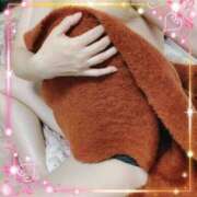 ヒメ日記 2026/02/10 16:16 投稿 ミニバラ GooGoo ～グーグー～