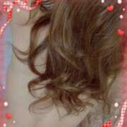 ヒメ日記 2026/06/07 17:46 投稿 ミニバラ GooGoo ～グーグー～