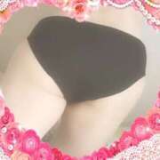 ヒメ日記 2026/08/01 16:00 投稿 ミニバラ GooGoo ～グーグー～