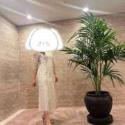 ヒメ日記 2025/12/23 17:13 投稿 さき364(saki) 健康寿命を延ばす！恋愛コミュニティ otsto(オトスト)