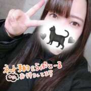 ヒメ日記 2024/12/12 15:01 投稿 ♡めいさ♡ 梅田ムチぽよ女学院