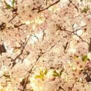 ヒメ日記 2025/04/09 18:10 投稿 西城　かなお ギン妻パラダイス 日本橋店