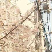 ヒメ日記 2026/04/02 09:32 投稿 西城　かなお ギン妻パラダイス 日本橋店