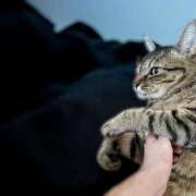 ヒメ日記 2025/12/07 19:27 投稿 あこ XSTASY（エクスタシー）