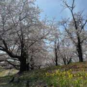 ヒメ日記 2025/04/08 19:43 投稿 もね 横浜しこたまクリニック